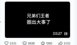 胖猫知情人爆料视频,视频内容深度解析